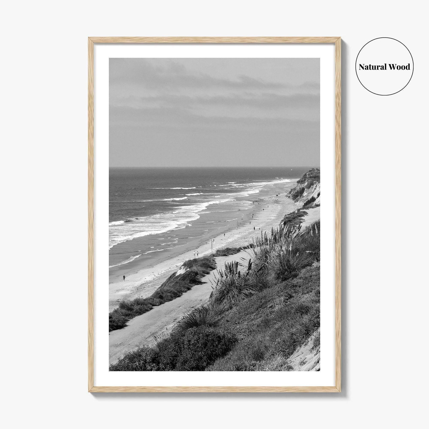 Torrey Pines Black and White Fine Art Photo Print, San Diego Coastline California Poster