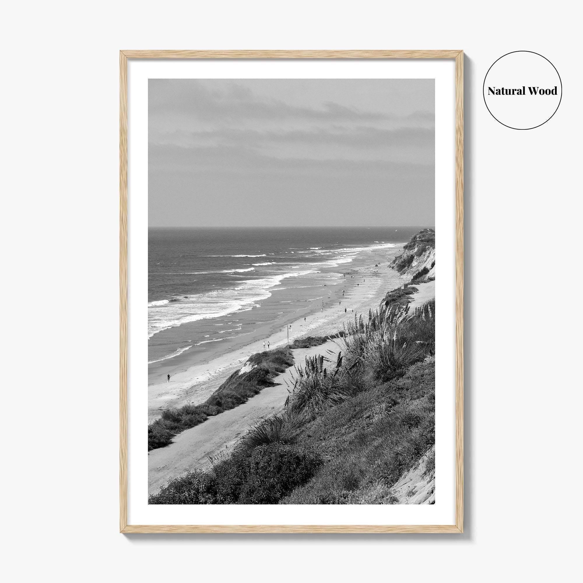 Torrey Pines Black and White Fine Art Photo Print, San Diego Coastline California Poster