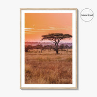 Tanzania Fine Art Photo Print, Serengeti National Park, Wall Poster