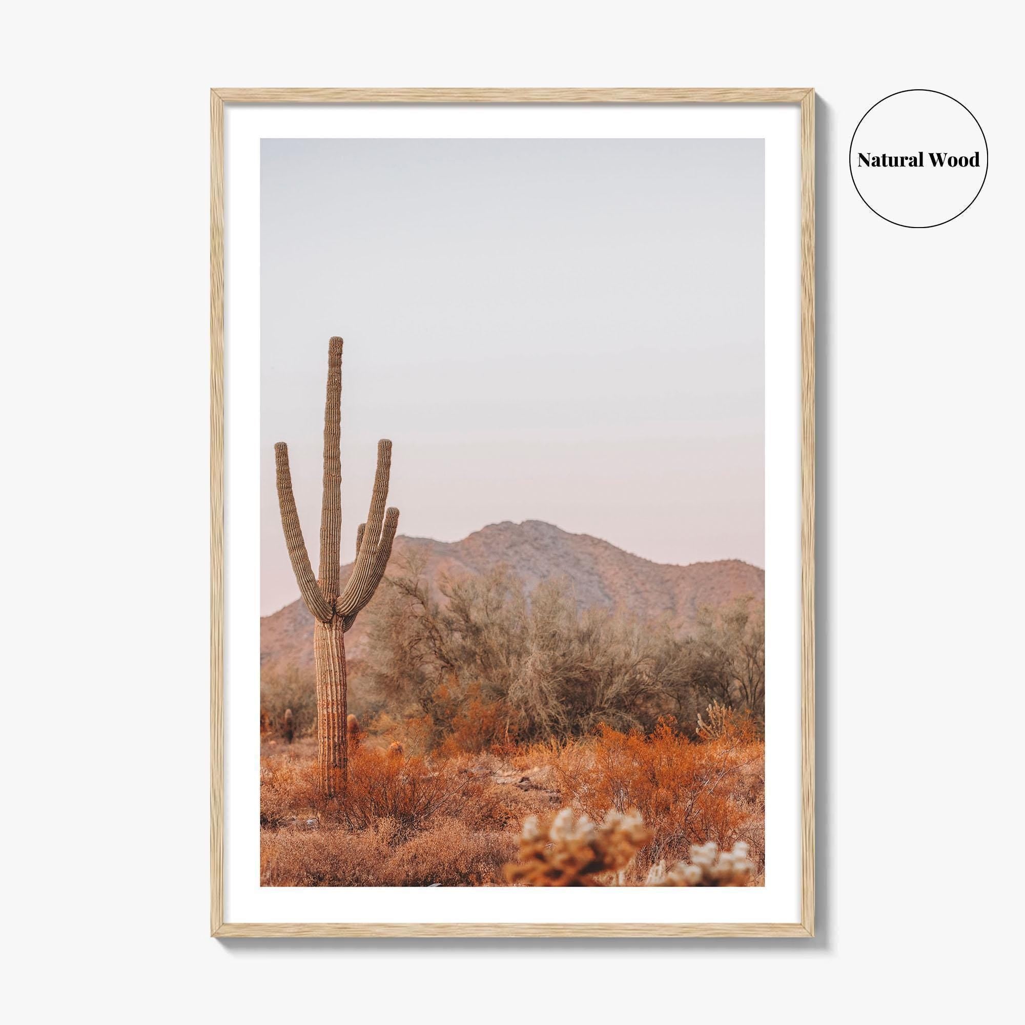 Saguaro National Park Fine Art Photo Print, Tucson Arizona, Sonoran Desert Poster USA