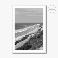 Torrey Pines Black and White Fine Art Photo Print, San Diego Coastline California Poster