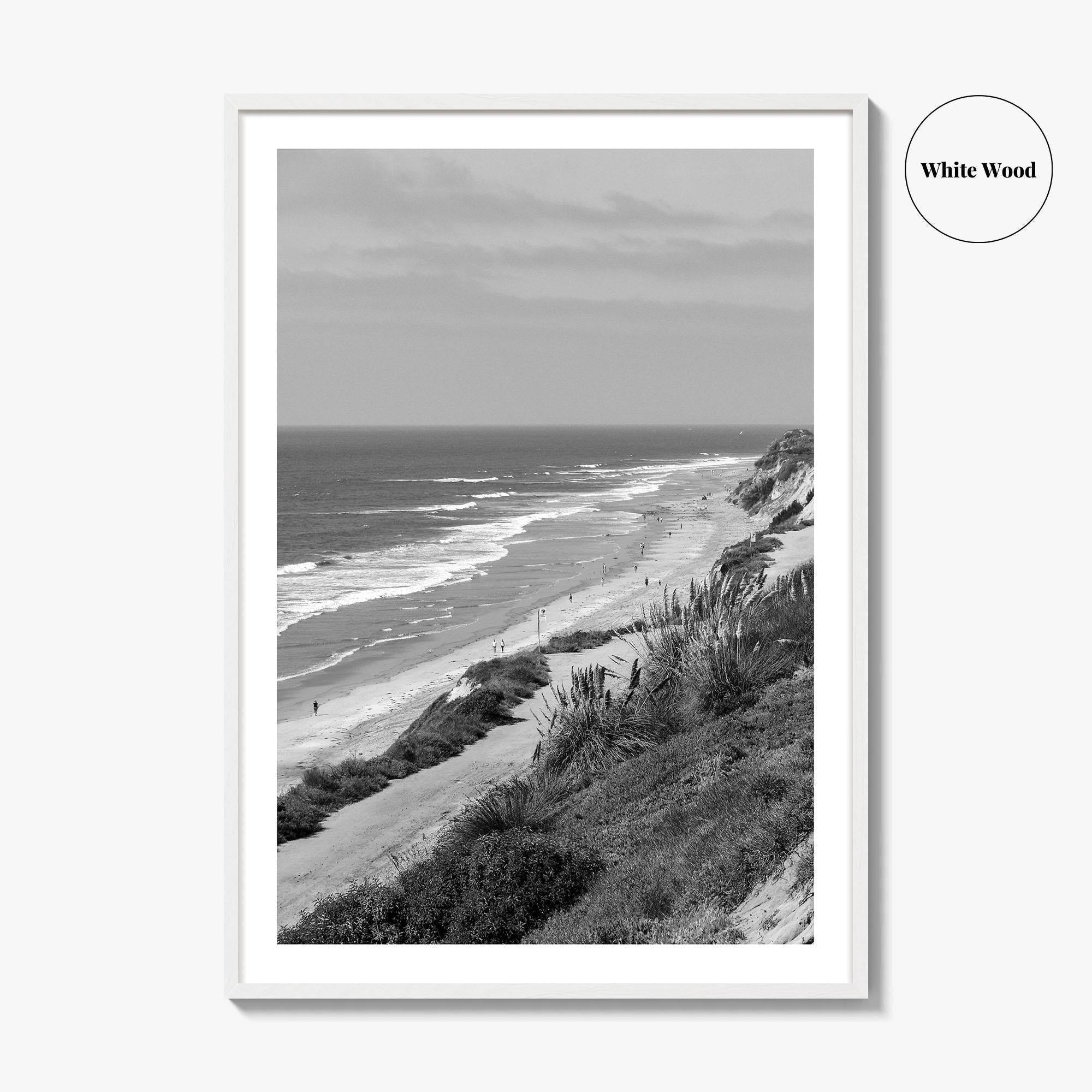 Torrey Pines Black and White Fine Art Photo Print, San Diego Coastline California Poster