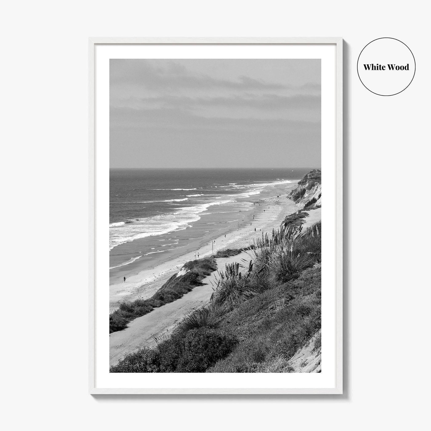 Torrey Pines Black and White Fine Art Photo Print, San Diego Coastline California Poster