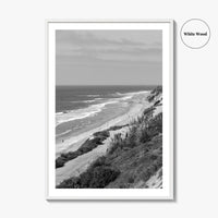 Torrey Pines Black and White Fine Art Photo Print, San Diego Coastline California Poster