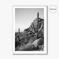 Scottsdale Black and White Fine Art Photo Print, Pinnacle Peak Arizona Poster