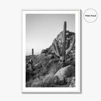 Scottsdale Black and White Fine Art Photo Print, Pinnacle Peak Arizona Poster
