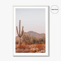 Saguaro National Park Fine Art Photo Print, Tucson Arizona, Sonoran Desert Poster USA
