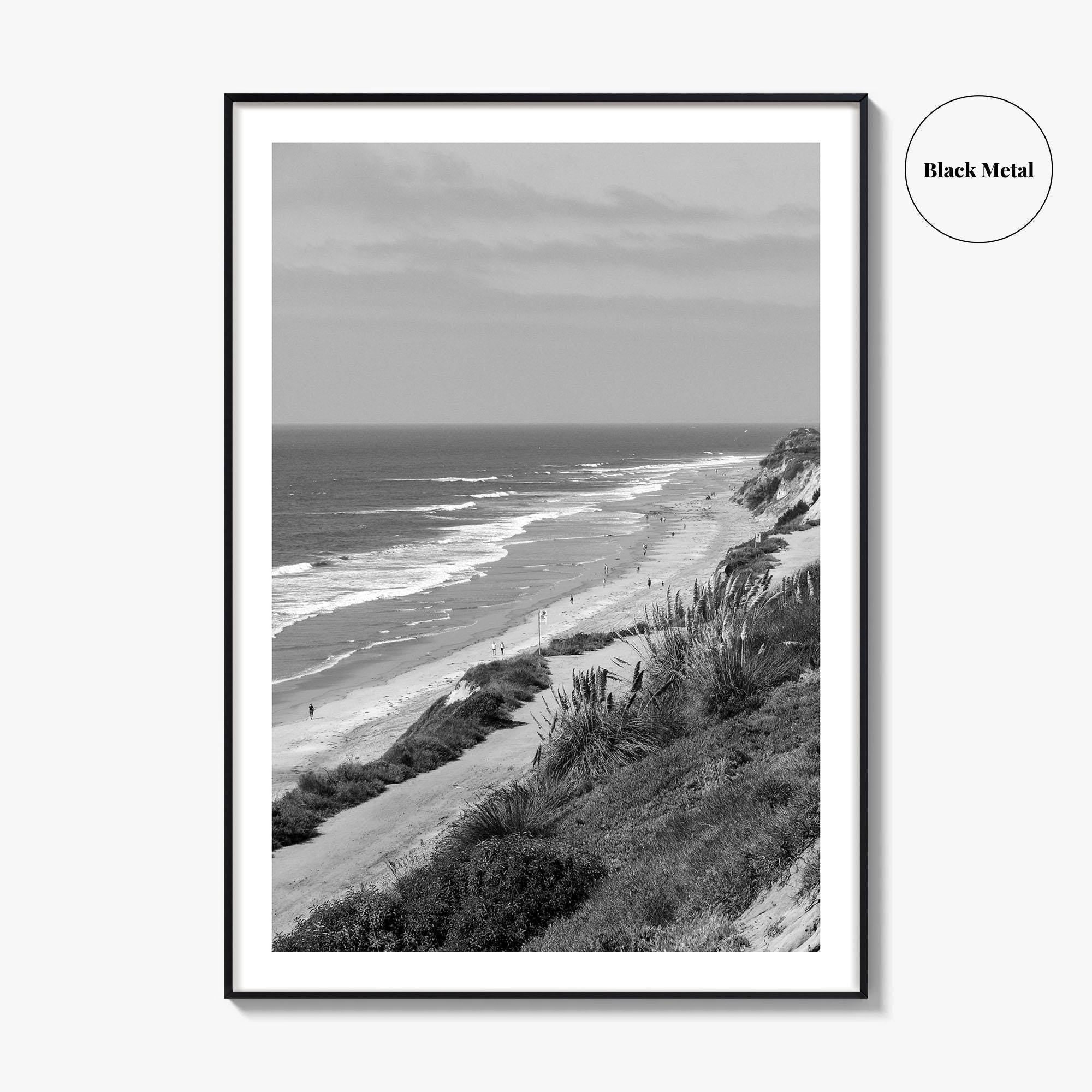 Torrey Pines Black and White Fine Art Photo Print, San Diego Coastline California Poster