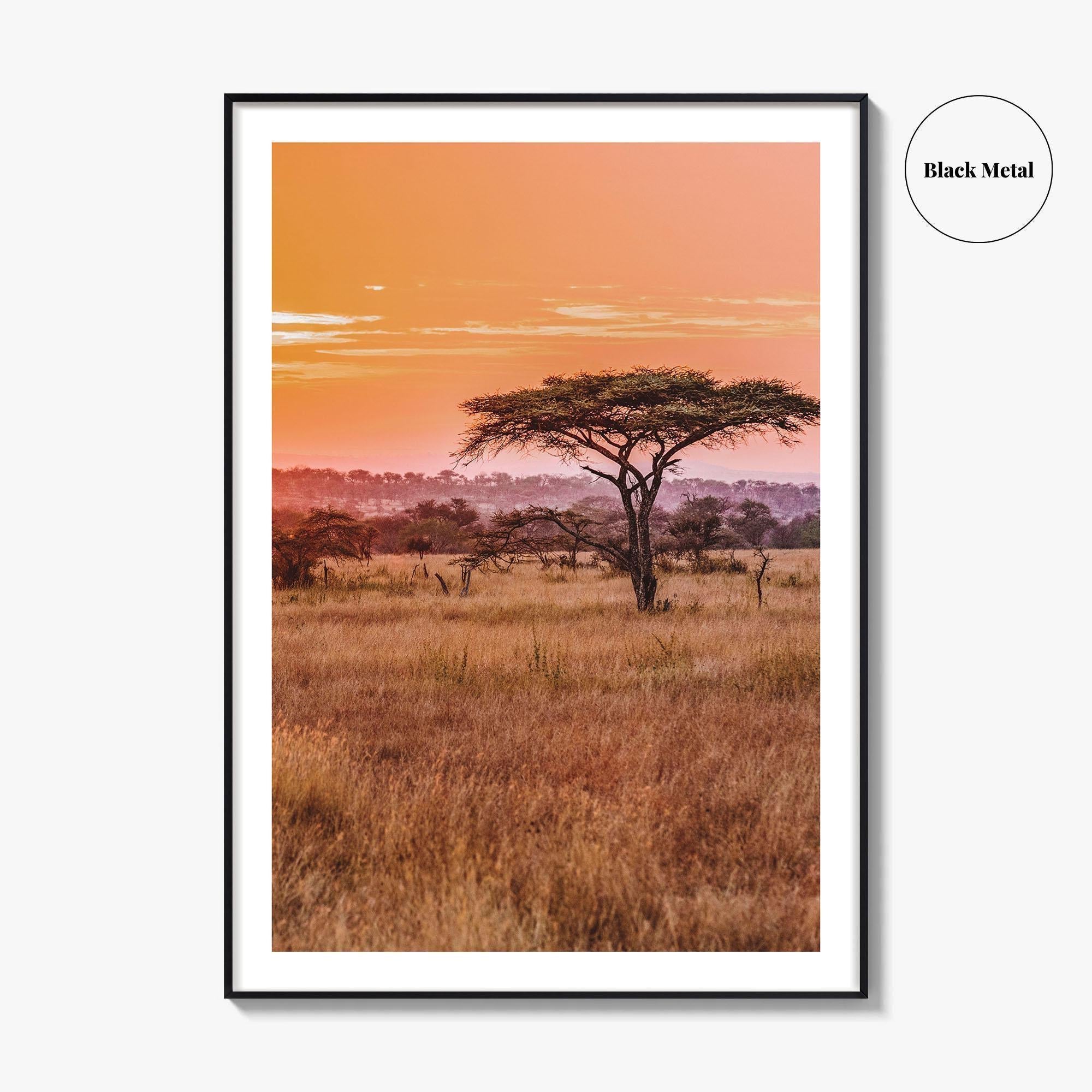 Tanzania Fine Art Photo Print, Serengeti National Park, Wall Poster