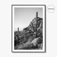 Scottsdale Black and White Fine Art Photo Print, Pinnacle Peak Arizona Poster