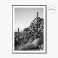 Scottsdale Black and White Fine Art Photo Print, Pinnacle Peak Arizona Poster