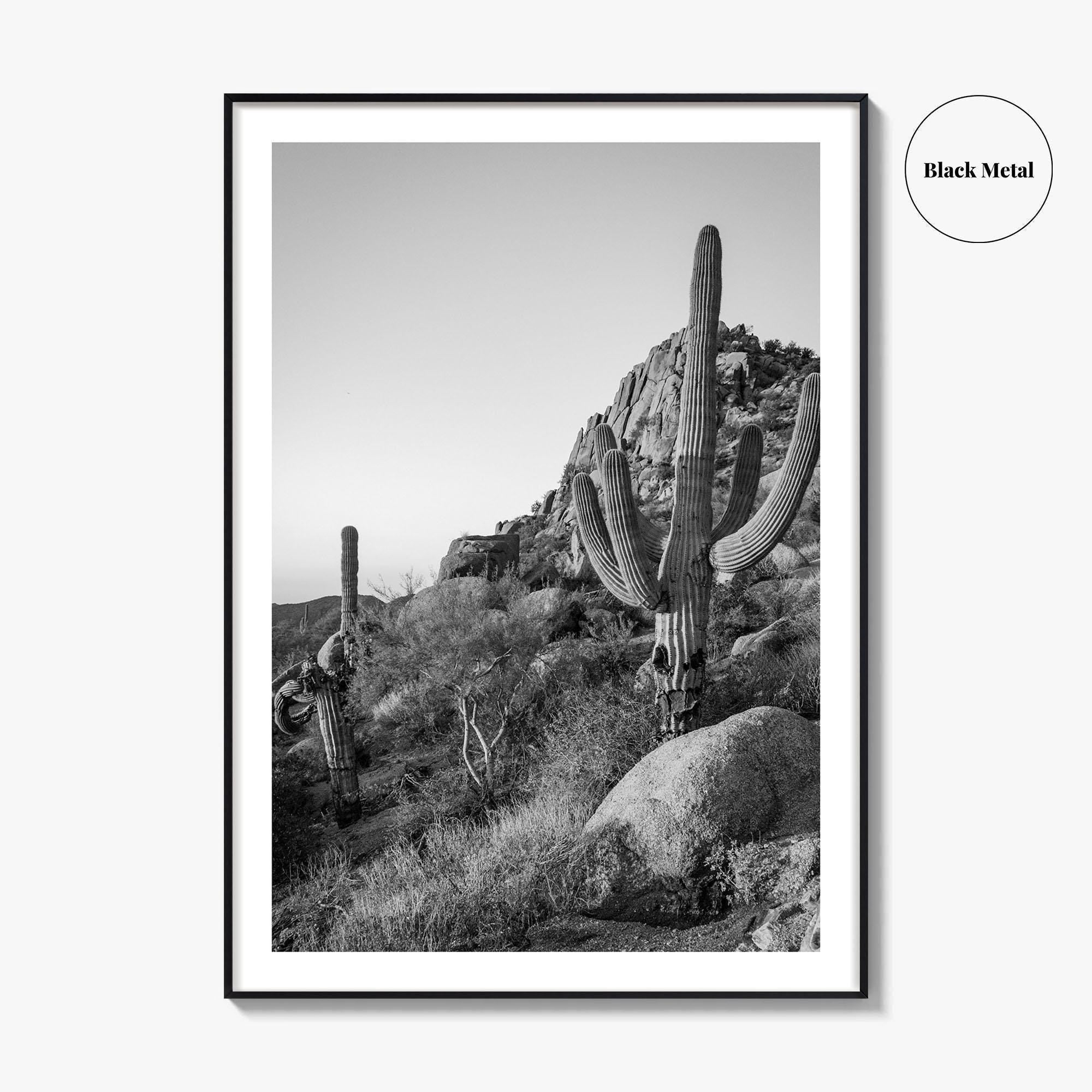 Scottsdale Black and White Fine Art Photo Print, Pinnacle Peak Arizona Poster