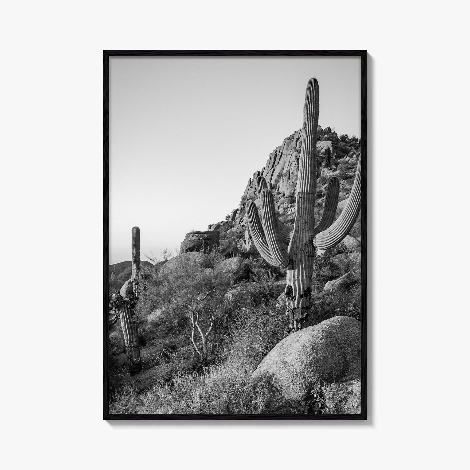 Scottsdale Black and White Fine Art Photo Print, Pinnacle Peak Arizona Poster