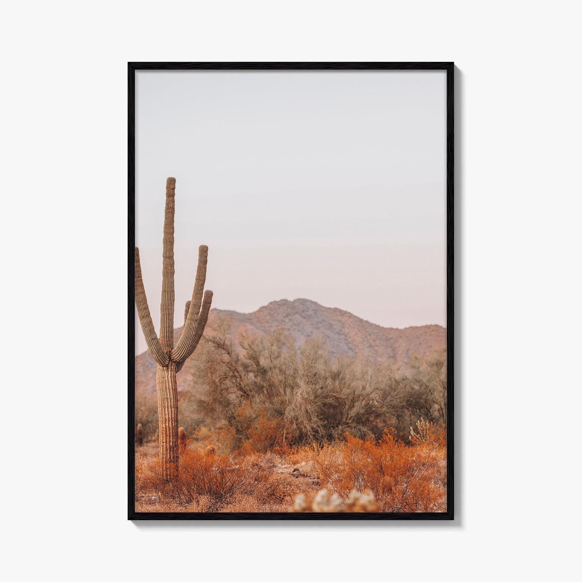 Saguaro National Park Fine Art Photo Print, Tucson Arizona, Sonoran Desert Poster USA