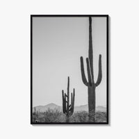 Saguaro National Park Black and White Fine Art Photo Print, Tucson Arizona Desert Poster