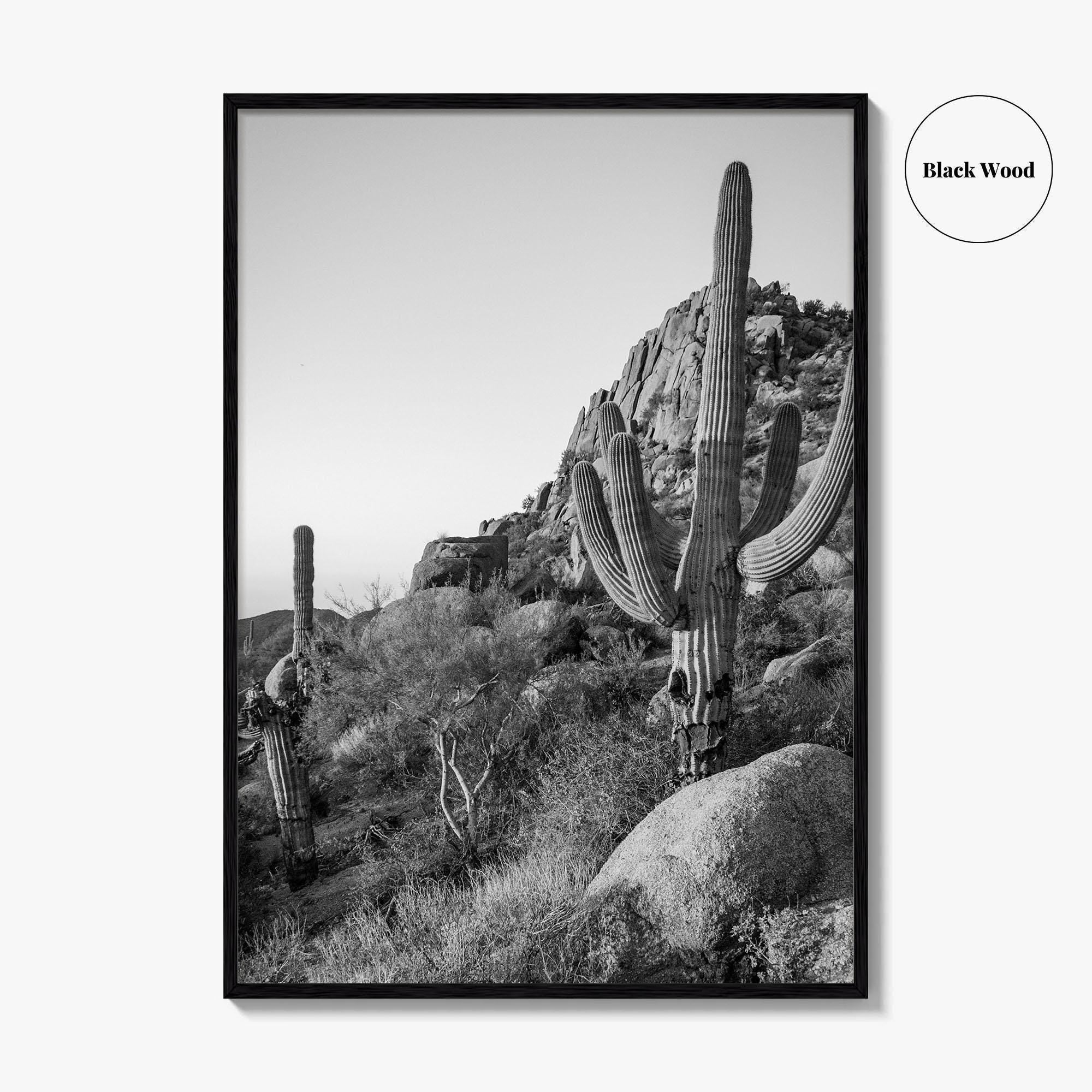 Scottsdale Black and White Fine Art Photo Print, Pinnacle Peak Arizona Poster
