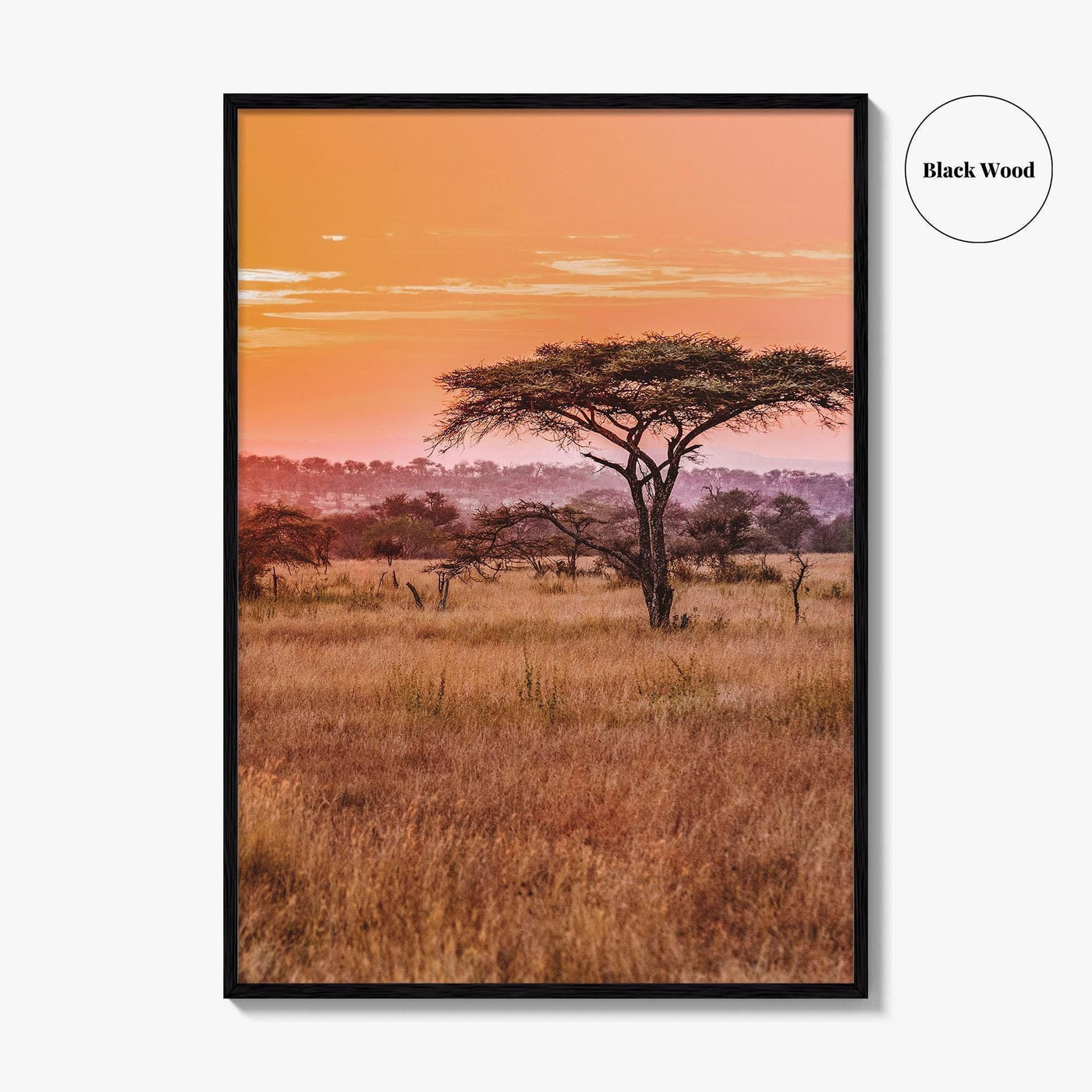 Tanzania Fine Art Photo Print, Serengeti National Park, Wall Poster