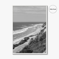 Torrey Pines Black and White Fine Art Photo Print, San Diego Coastline California Poster