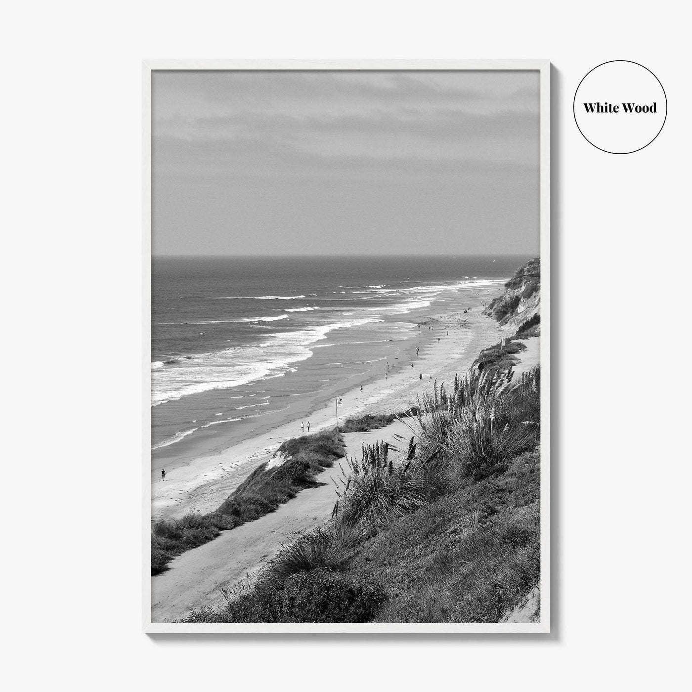 Torrey Pines Black and White Fine Art Photo Print, San Diego Coastline California Poster