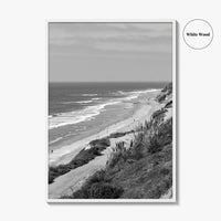 Torrey Pines Black and White Fine Art Photo Print, San Diego Coastline California Poster
