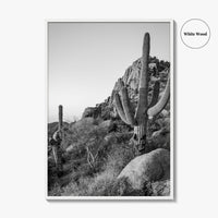 Scottsdale Black and White Fine Art Photo Print, Pinnacle Peak Arizona Poster