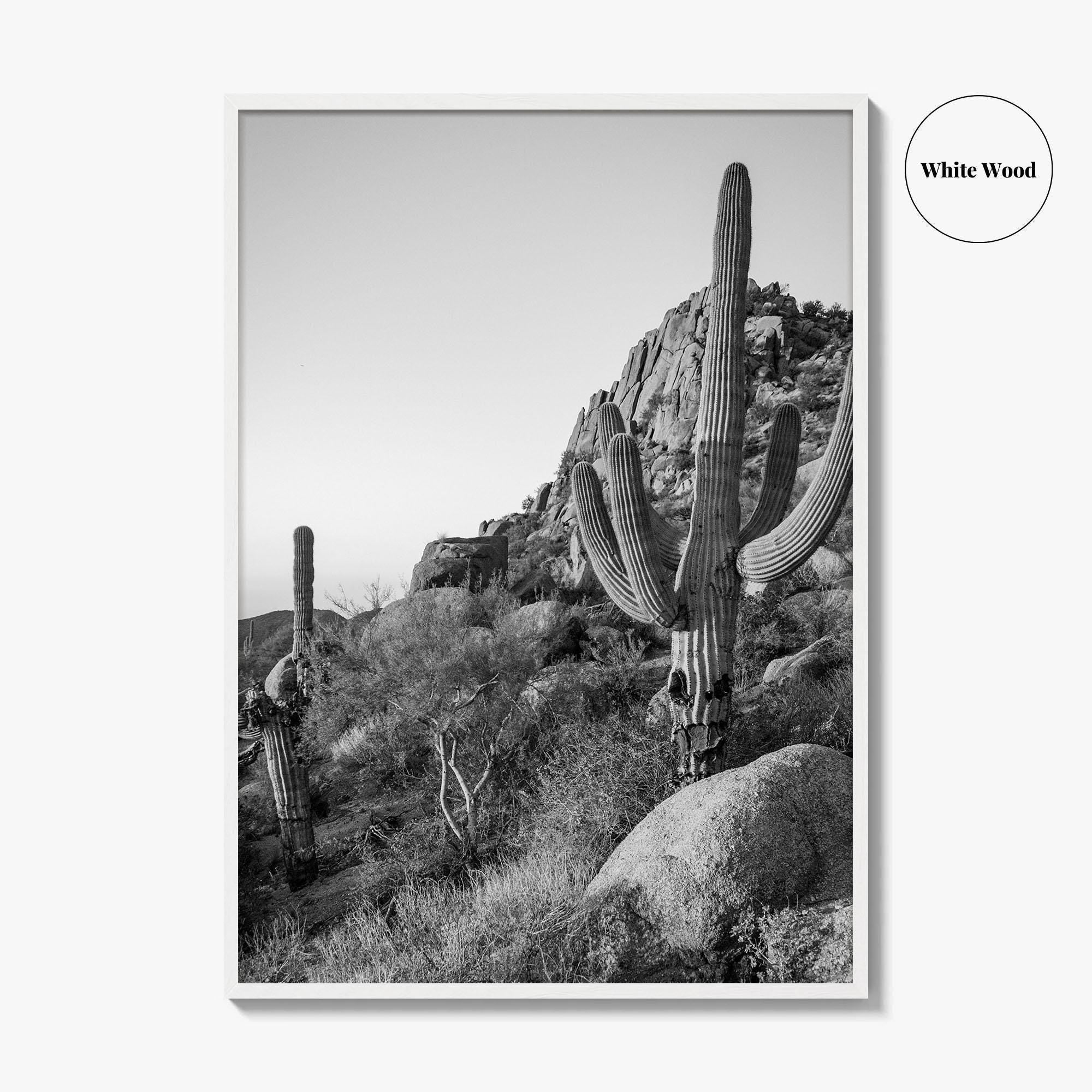 Scottsdale Black and White Fine Art Photo Print, Pinnacle Peak Arizona Poster