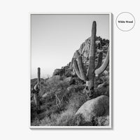 Scottsdale Black and White Fine Art Photo Print, Pinnacle Peak Arizona Poster