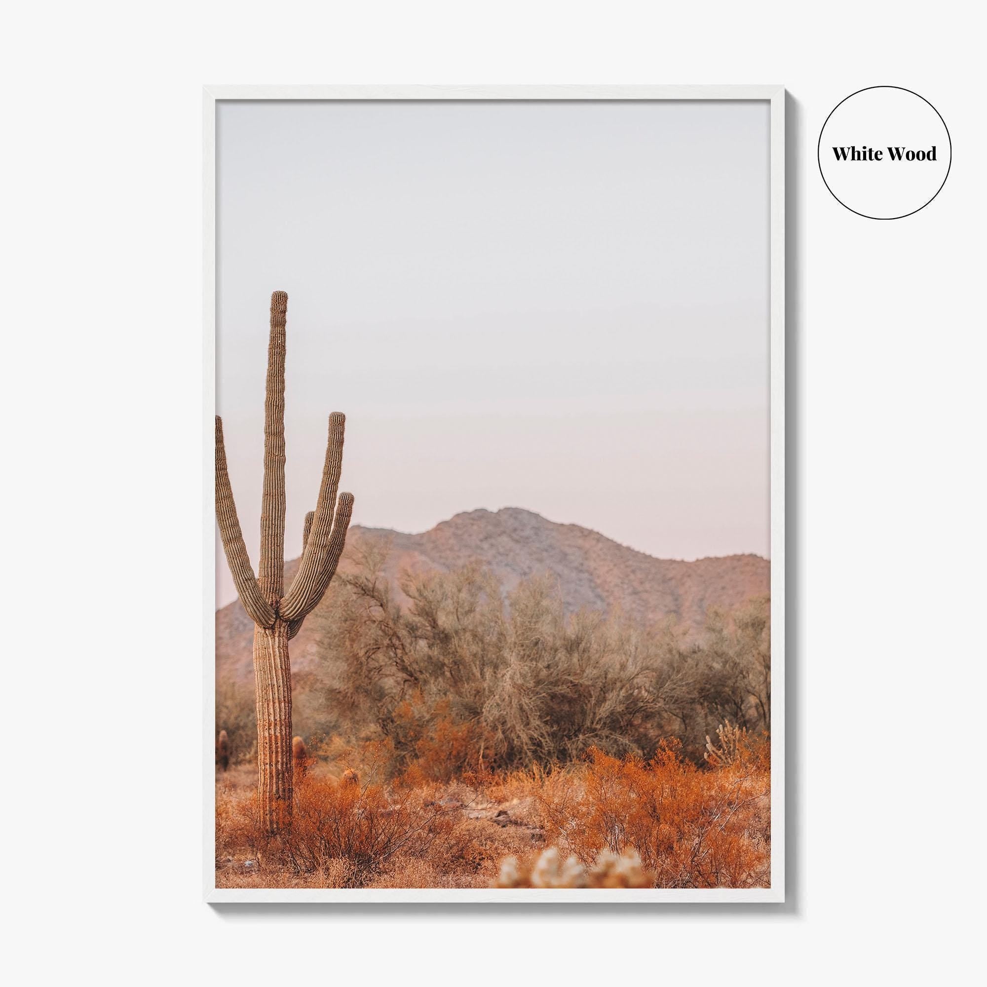 Saguaro National Park Fine Art Photo Print, Tucson Arizona, Sonoran Desert Poster USA