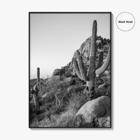 Scottsdale Black and White Fine Art Photo Print, Pinnacle Peak Arizona Poster