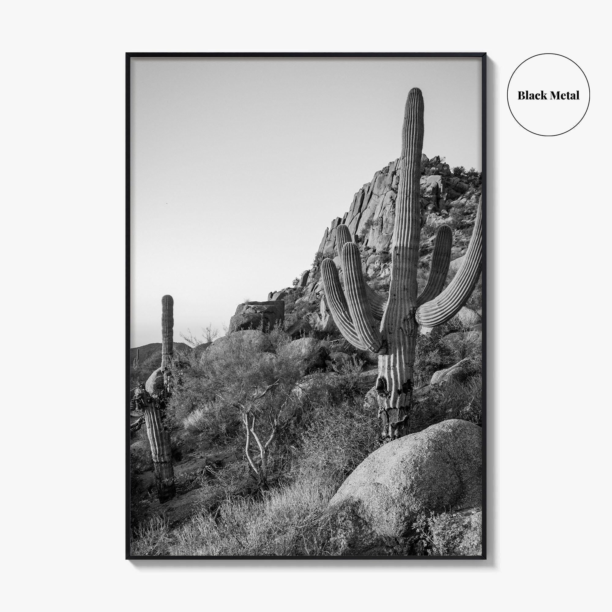 Scottsdale Black and White Fine Art Photo Print, Pinnacle Peak Arizona Poster