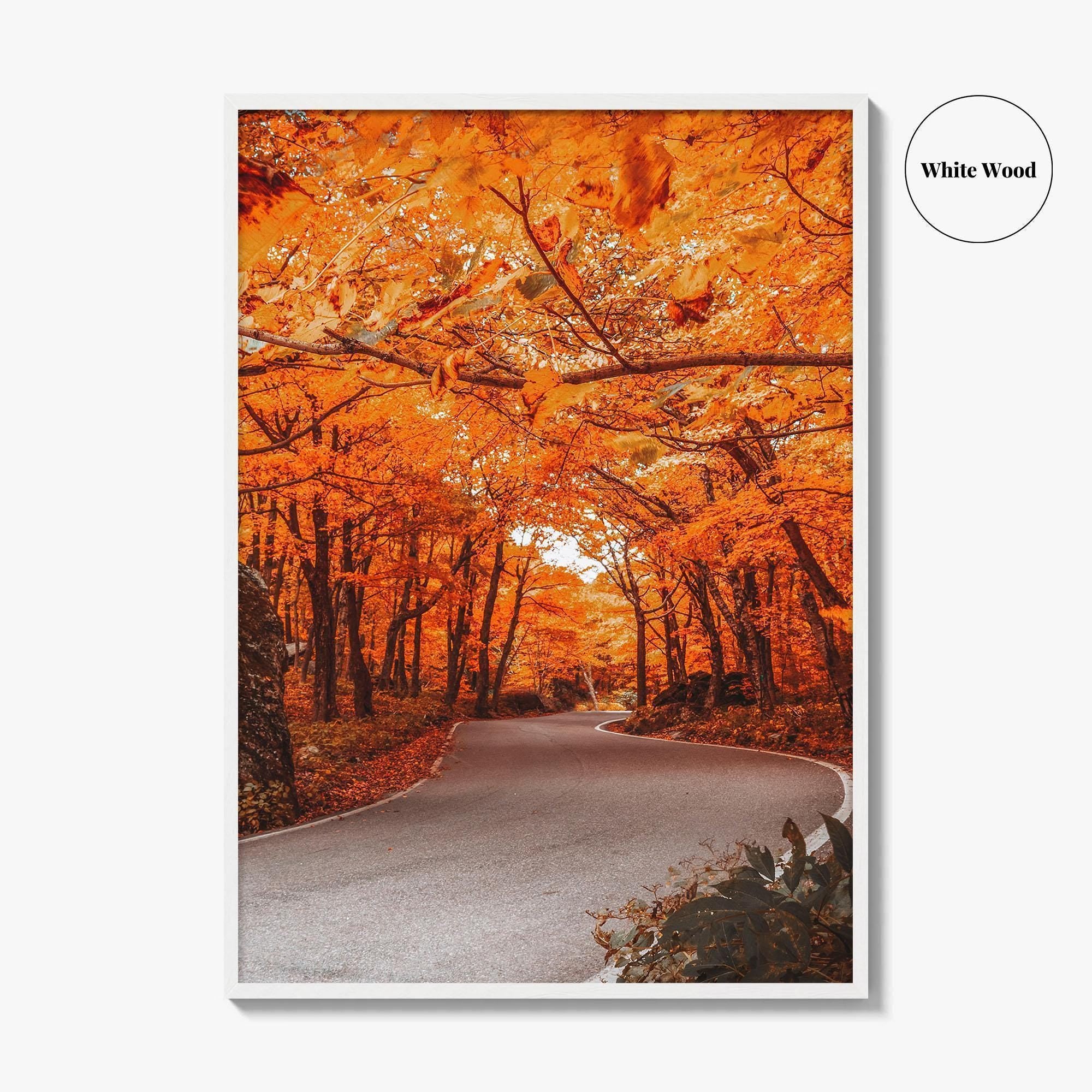 Vermont Fine Art Photo Print, Autumn Foliage, State Park, New England USA, Poster
