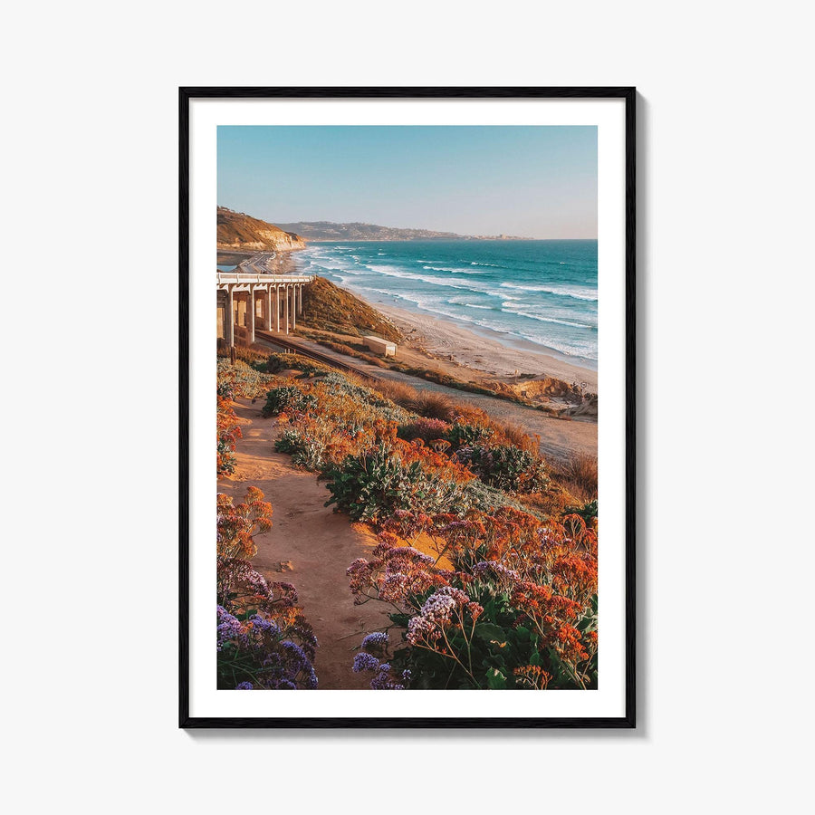 Torrey Pines State Beach Fine Art Photo Print, San Diego California, Wildflowers Wall Poster
