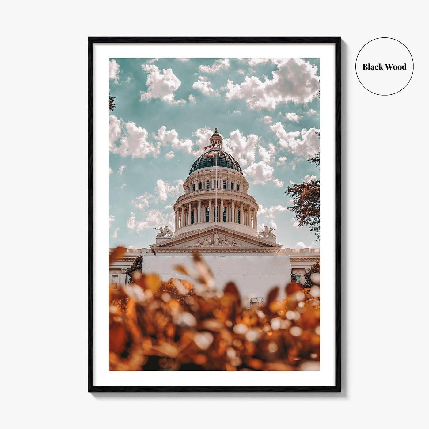 Sacramento Fine Art Photo Print, California City Wall Poster, Building, USA