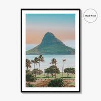 Hanauma Bay Oahu Fine Art Photo Print, Honolulu Hawaii, Palm Trees Beach Wall Decor
