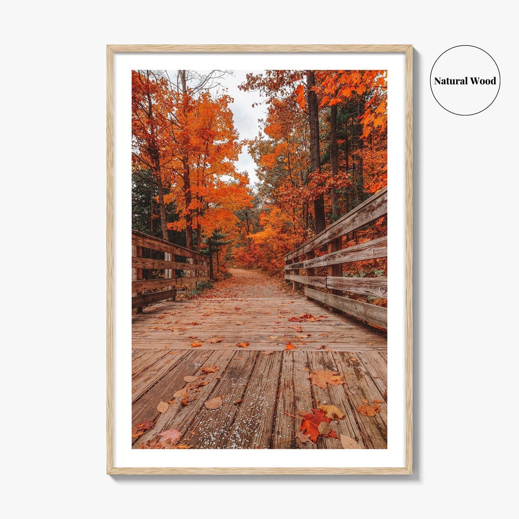 Traverse City Fine Art Photo Print, Logan's Landing, Michigan USA Wall Decor Poster
