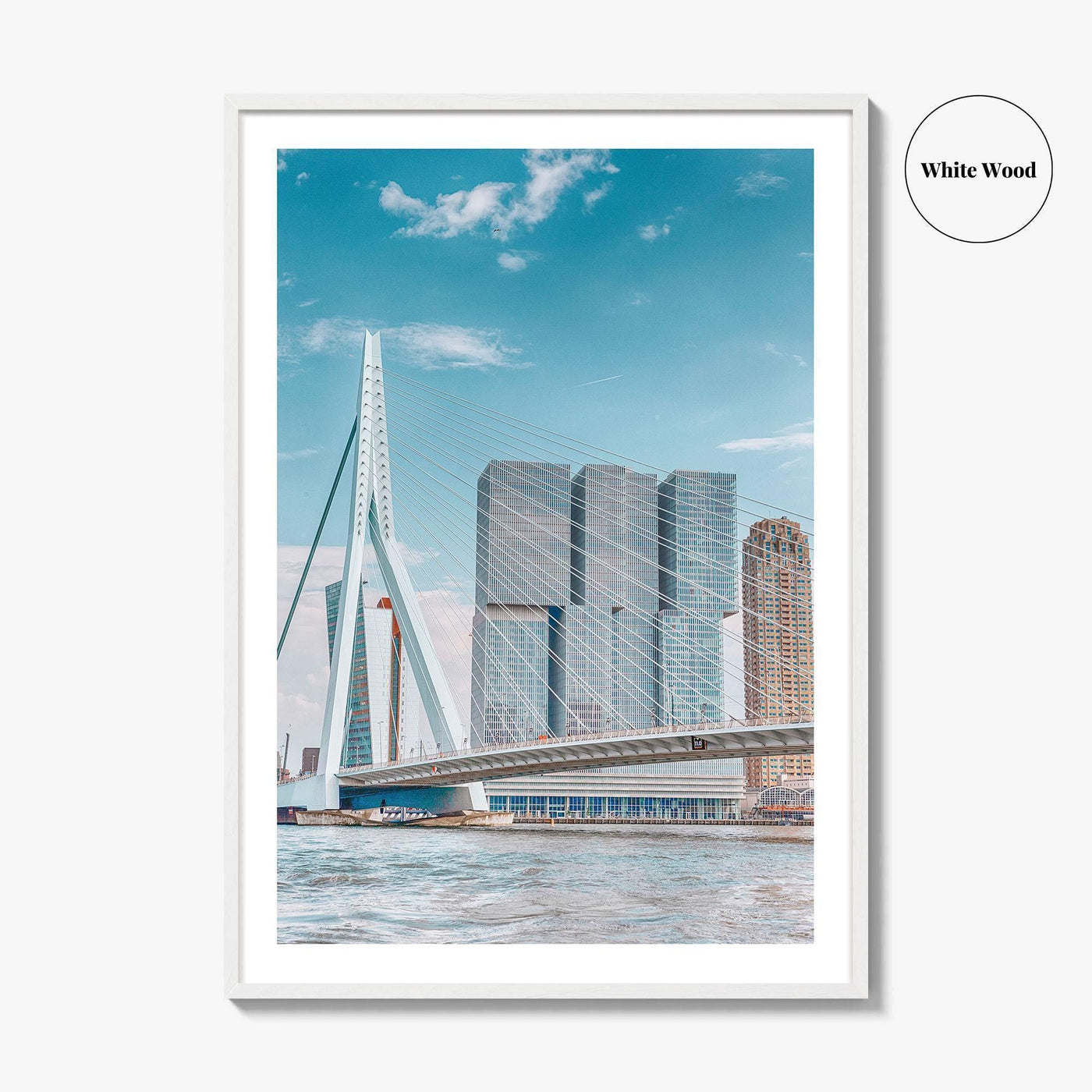 Rotterdam Fine Art Photo Print, Netherlands Wall Decor Poster, Erasmusbrug Swan Bridge, Harbor