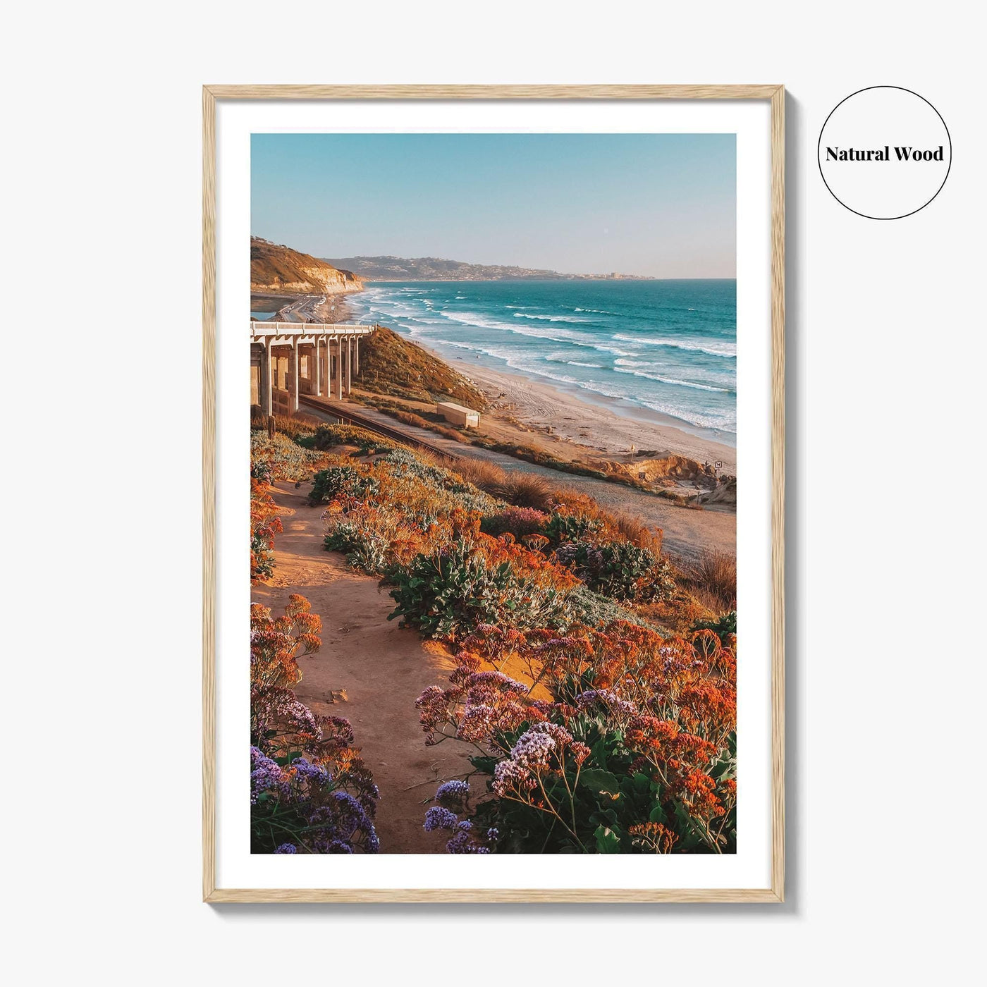 Torrey Pines State Beach Fine Art Photo Print, San Diego California, Wildflowers Wall Poster