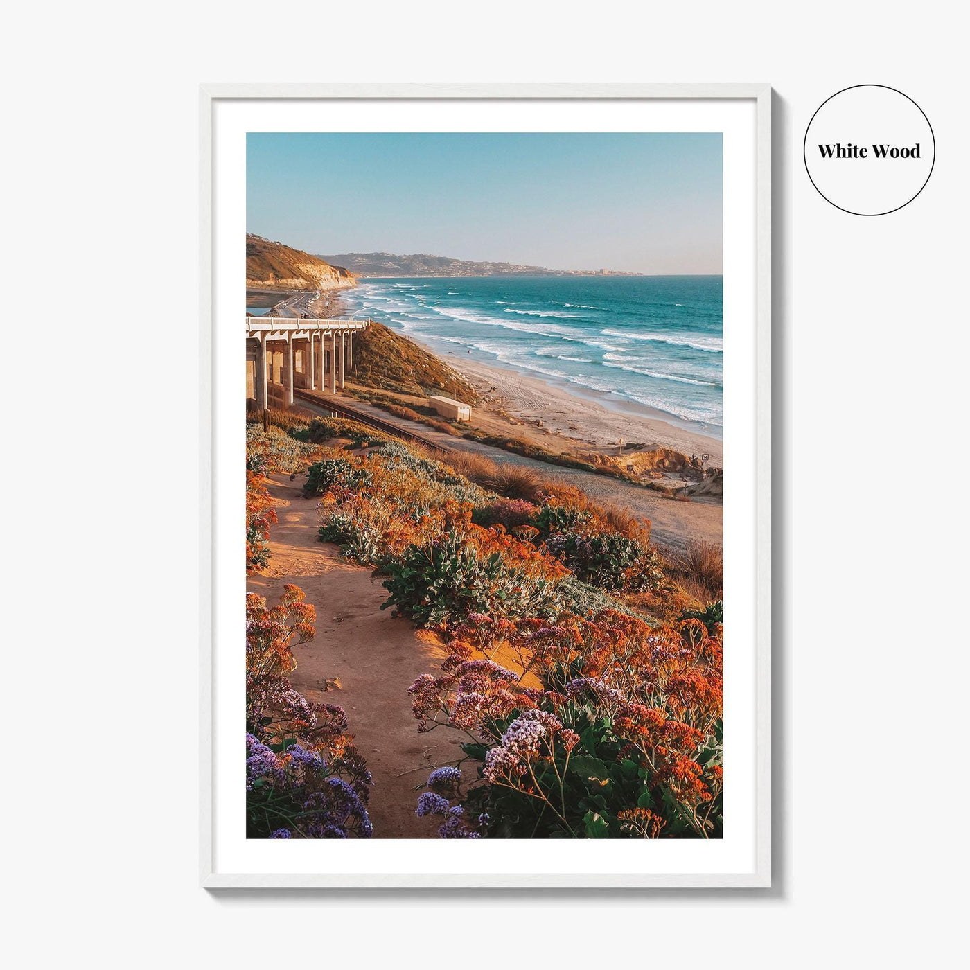 Torrey Pines State Beach Fine Art Photo Print, San Diego California, Wildflowers Wall Poster
