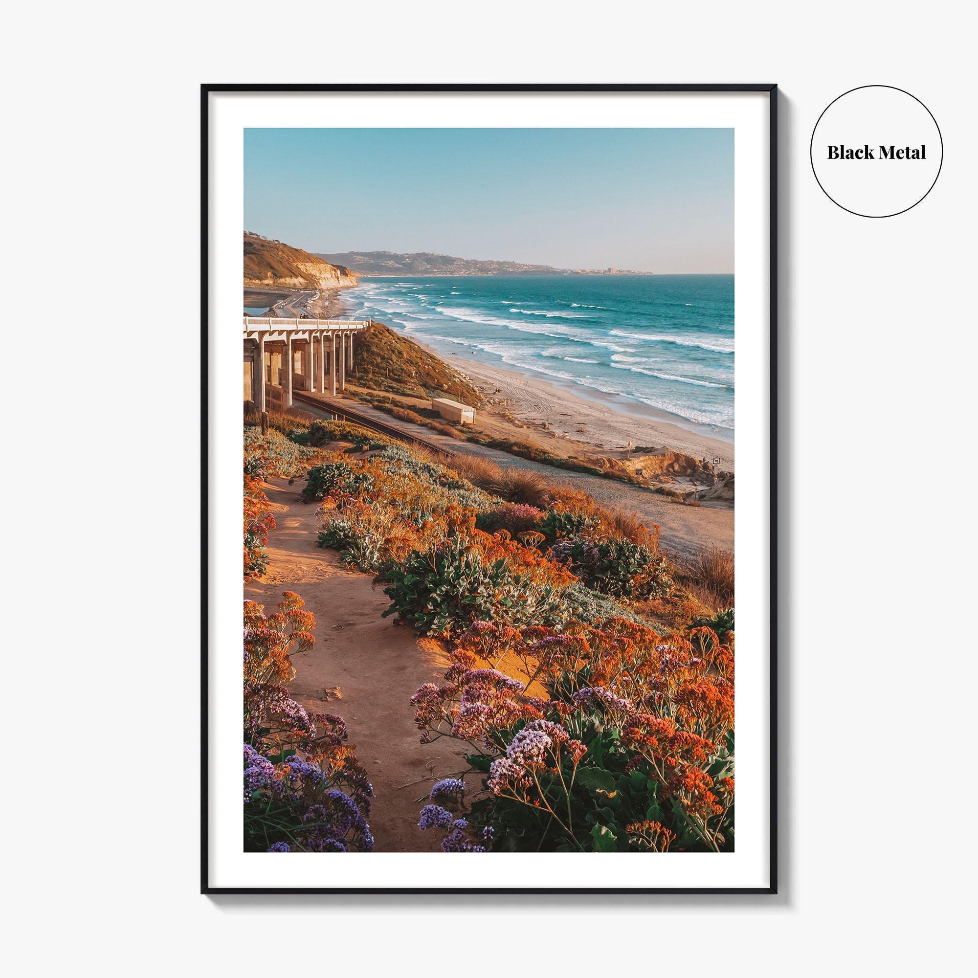 Torrey Pines State Beach Fine Art Photo Print, San Diego California, Wildflowers Wall Poster