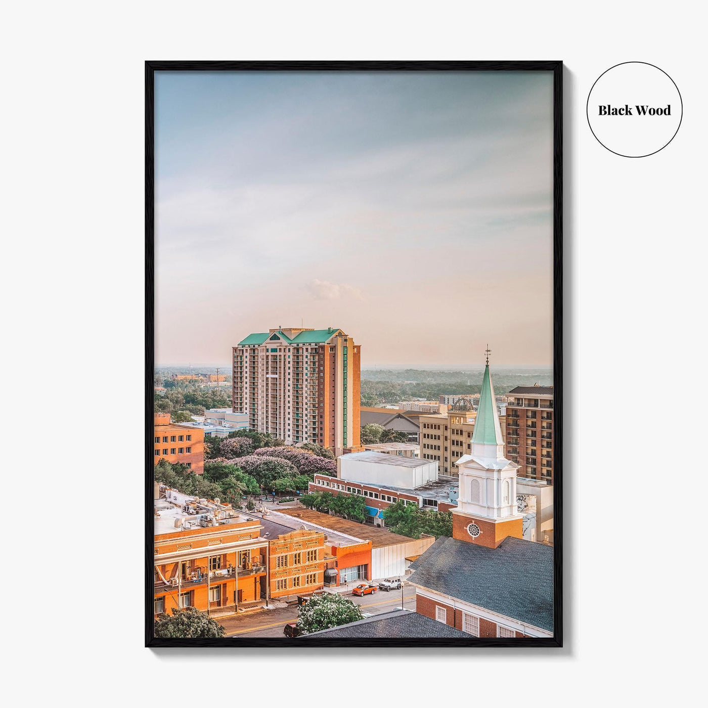 Tallahassee Skyline Fine Art Photo Print, Florida USA Downtown Wall Decor Poster