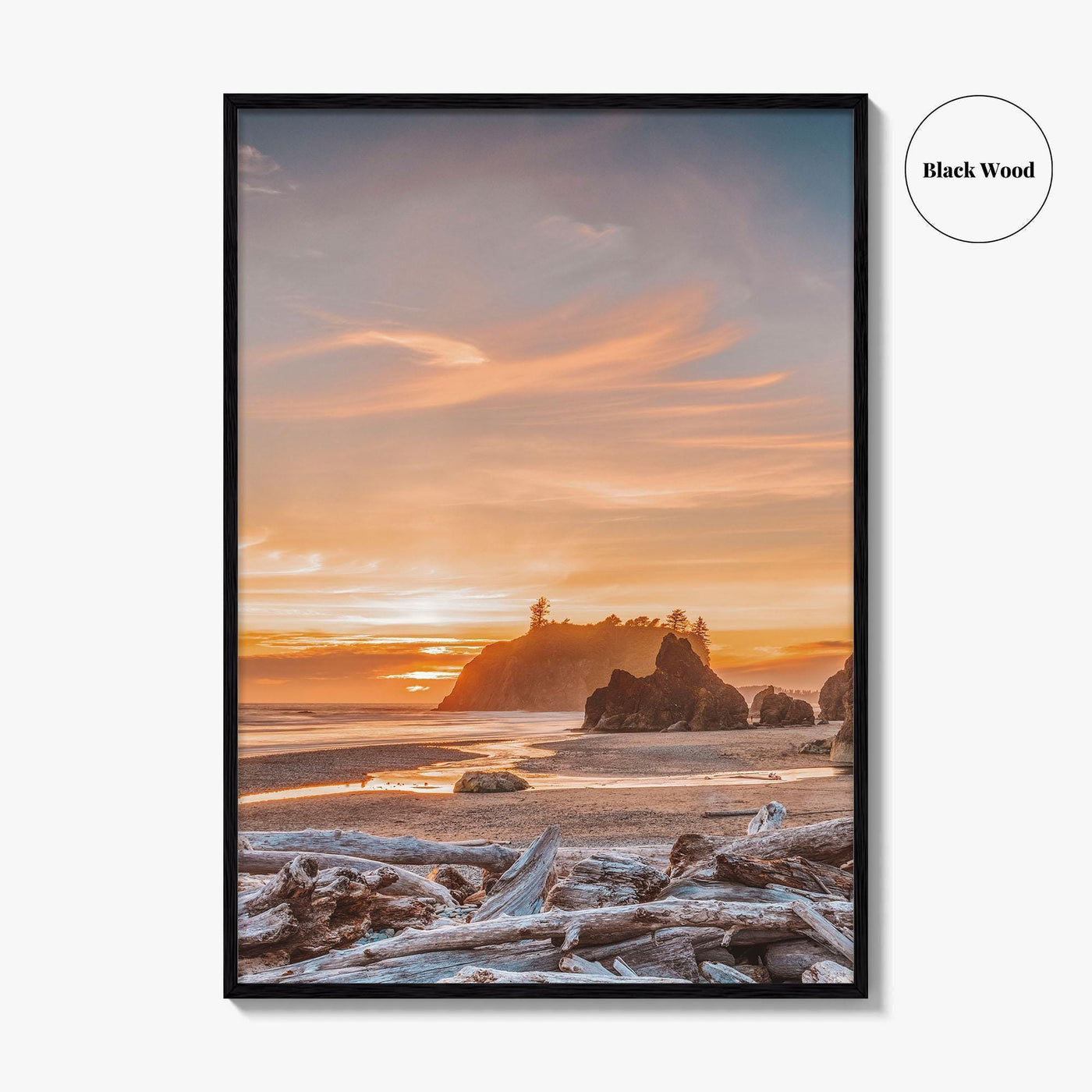 Olympic National Park Fine Art Photo Print, Ruby Beach, Washington Wall Art Poster