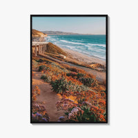 Torrey Pines State Beach Fine Art Photo Print, San Diego California, Wildflowers Wall Poster