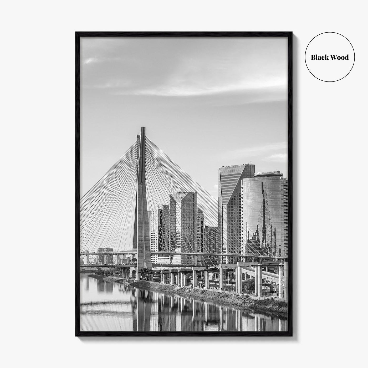 Sao Paulo Black and White Fine Art Photo Print, Octavio Frias Bridge Brazil Poster