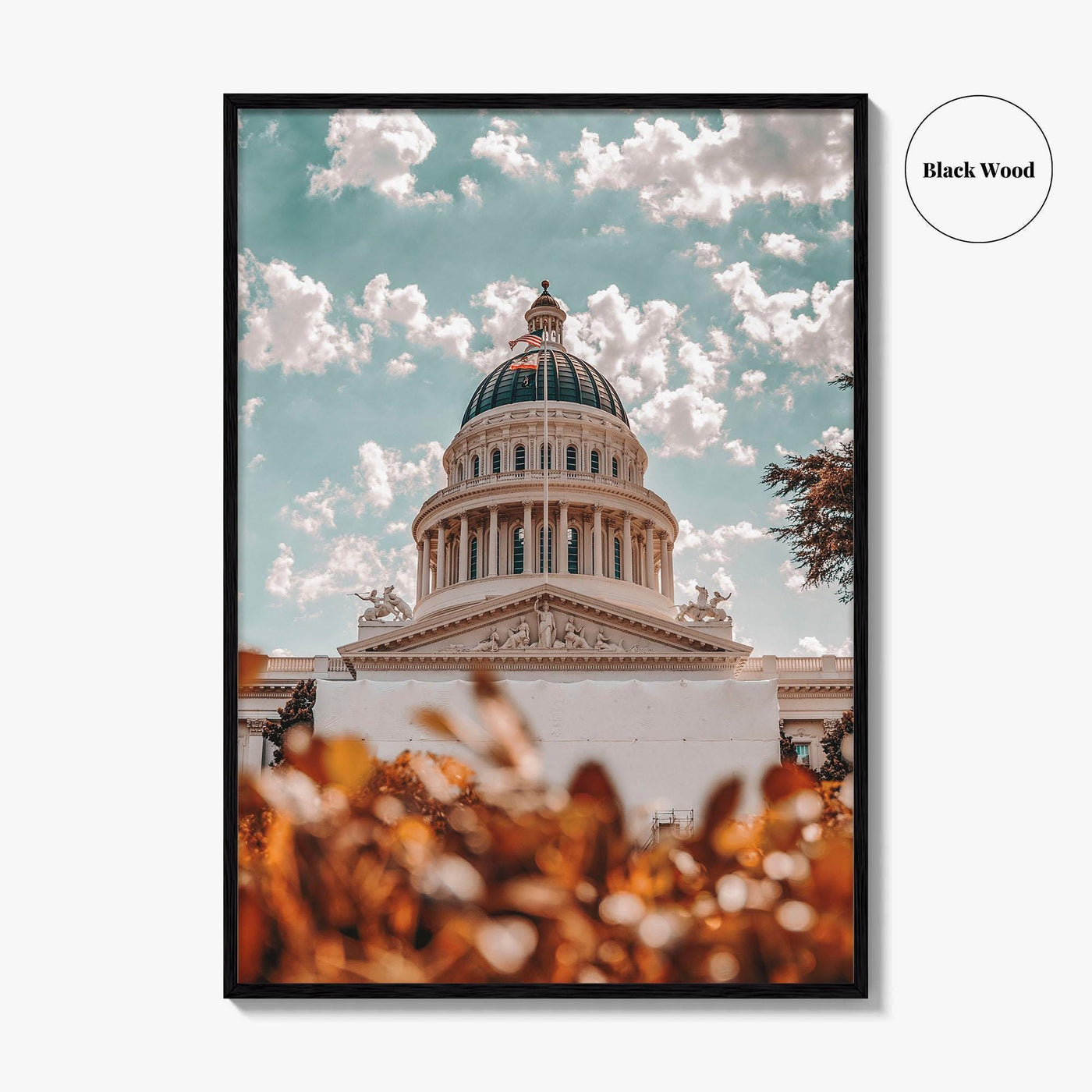 Sacramento Fine Art Photo Print, California City Wall Poster, Building, USA