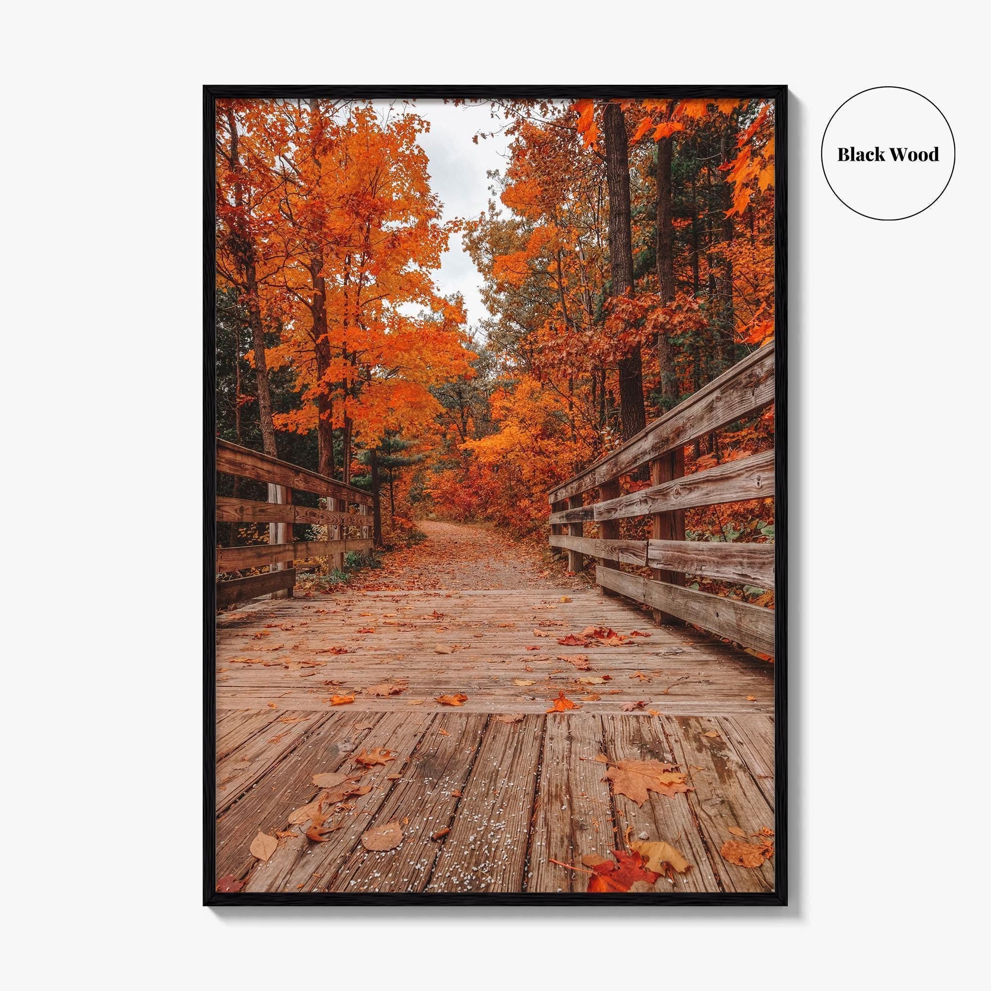 Traverse City Fine Art Photo Print, Logan's Landing, Michigan USA Wall Decor Poster