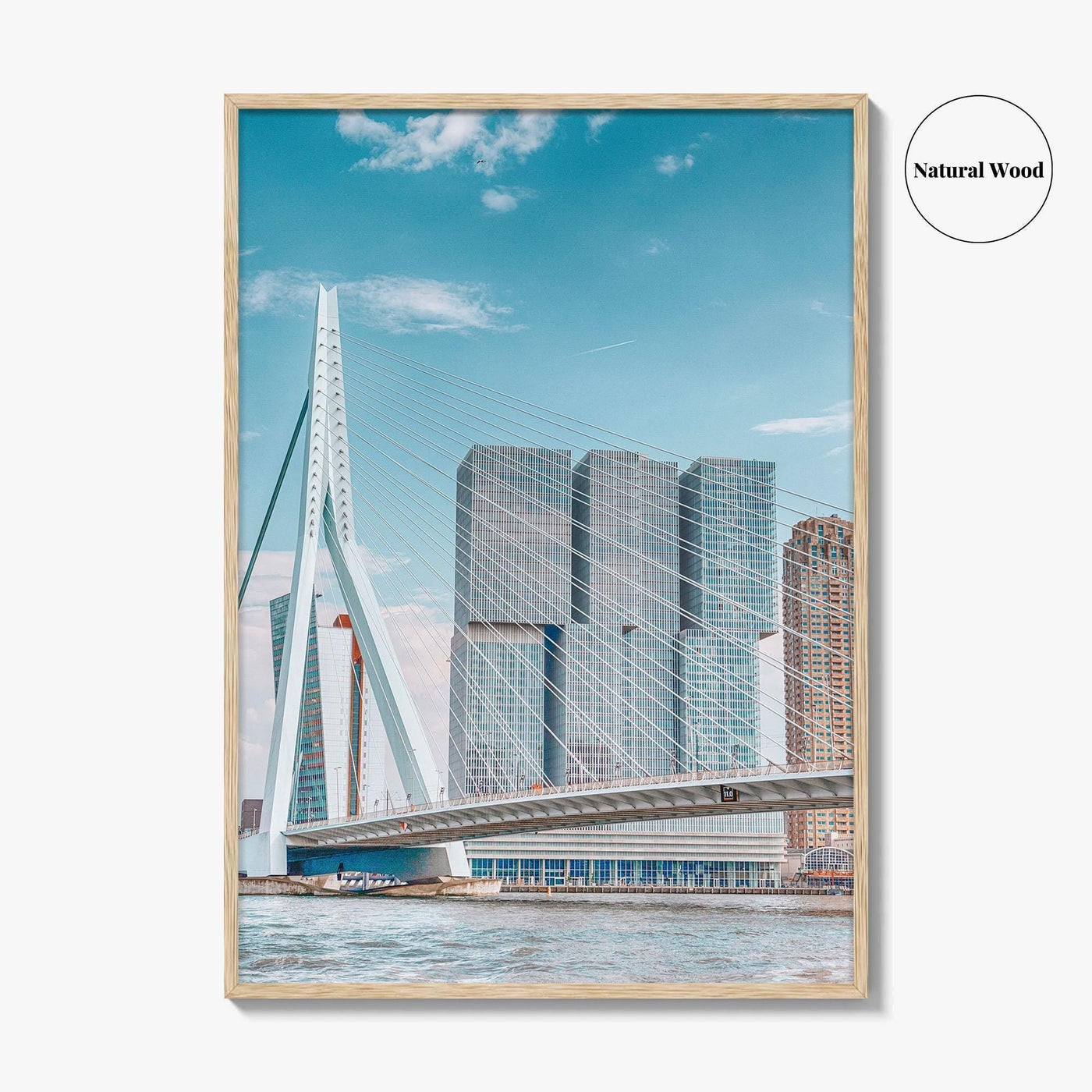 Rotterdam Fine Art Photo Print, Netherlands Wall Decor Poster, Erasmusbrug Swan Bridge, Harbor