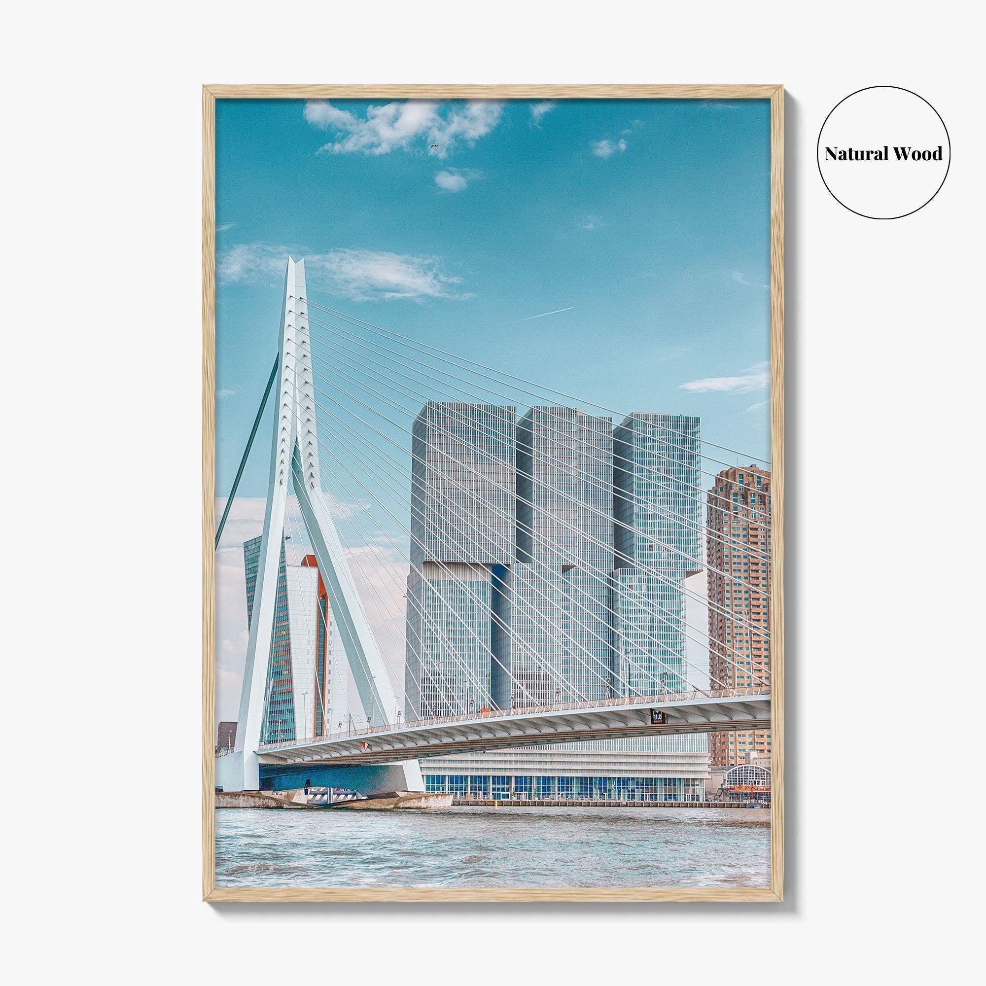 Rotterdam Fine Art Photo Print, Netherlands Wall Decor Poster, Erasmusbrug Swan Bridge, Harbor