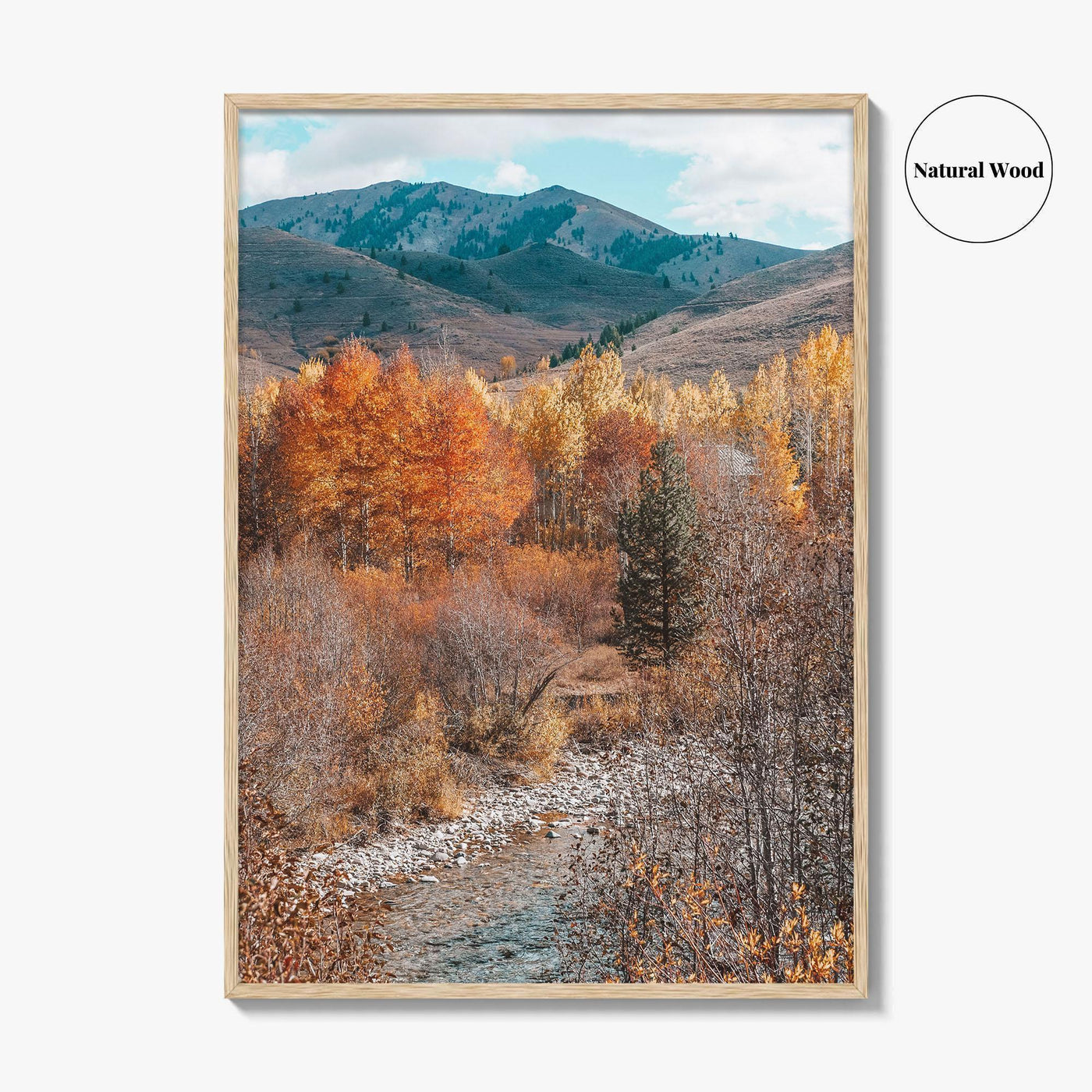 Sun Valley Fall Colors Fine Art Photo Print, Idaho Wall Poster, Ketchum USA