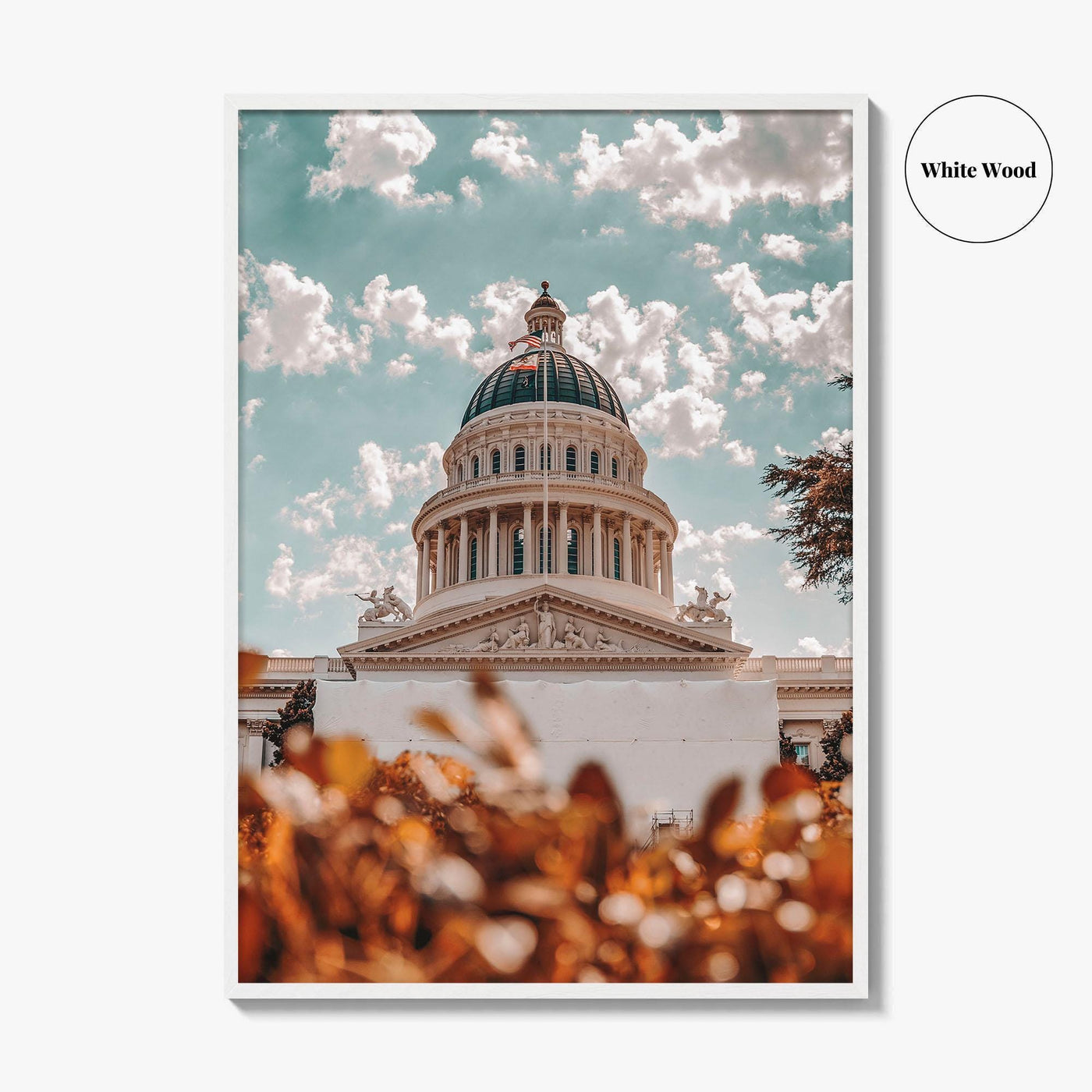 Sacramento Fine Art Photo Print, California City Wall Poster, Building, USA