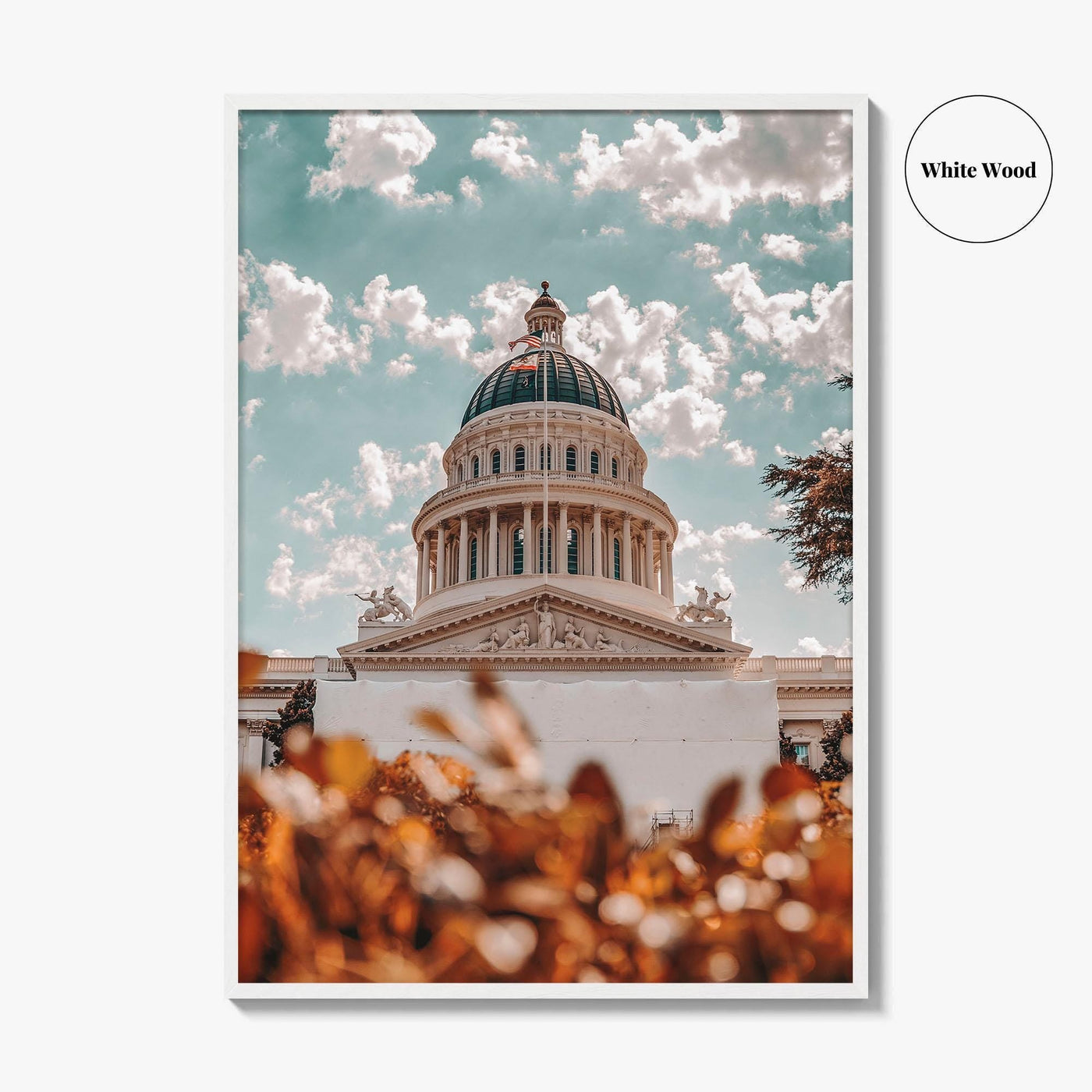 Sacramento Fine Art Photo Print, California City Wall Poster, Building, USA